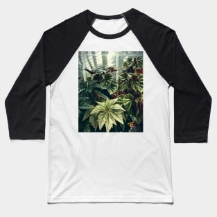 Beautiful Begonias Baseball T-Shirt